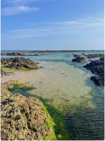 Heather 2023 France 2