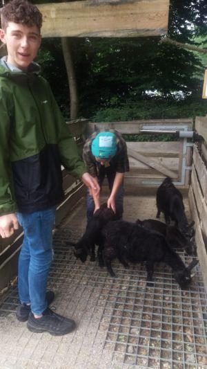 Alex Sheerin 2018 German Photos 5